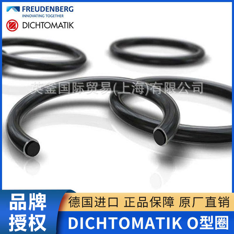 Dichtomatik德氏封 O型圈